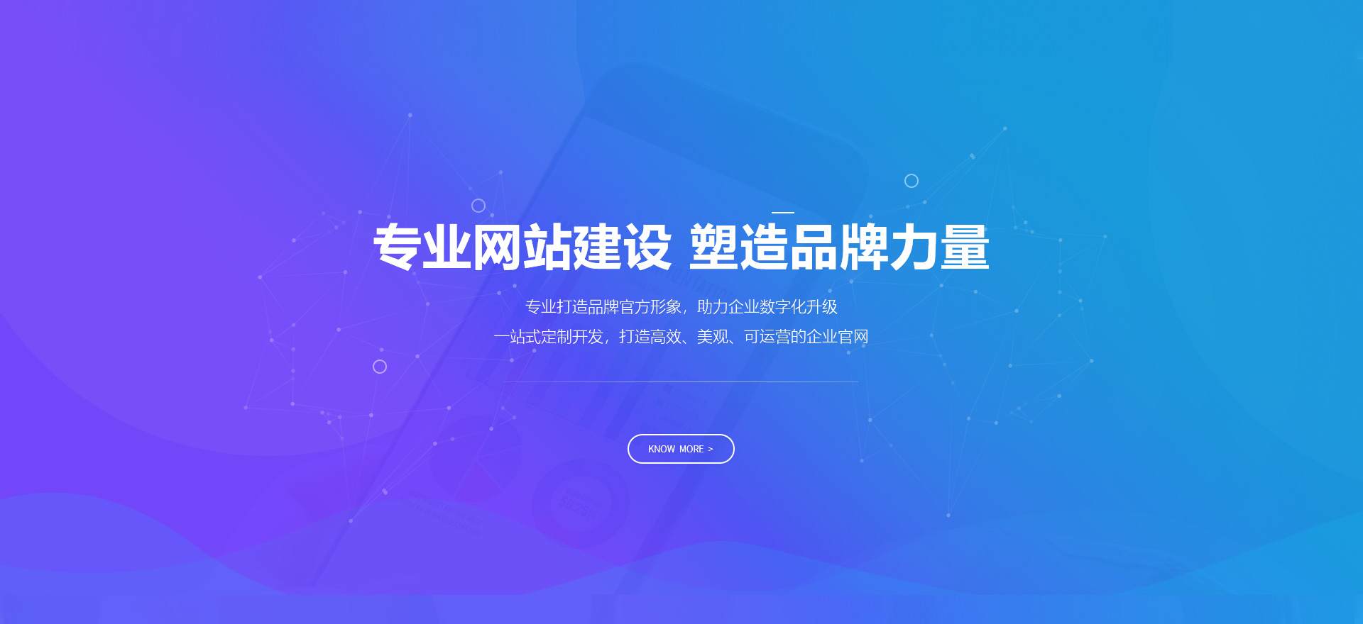 泸州建站-专业网站建设 塑造品牌力量