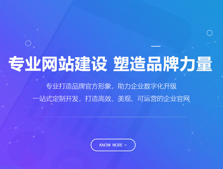 泸州建站-专业网站建设 塑造品牌力量